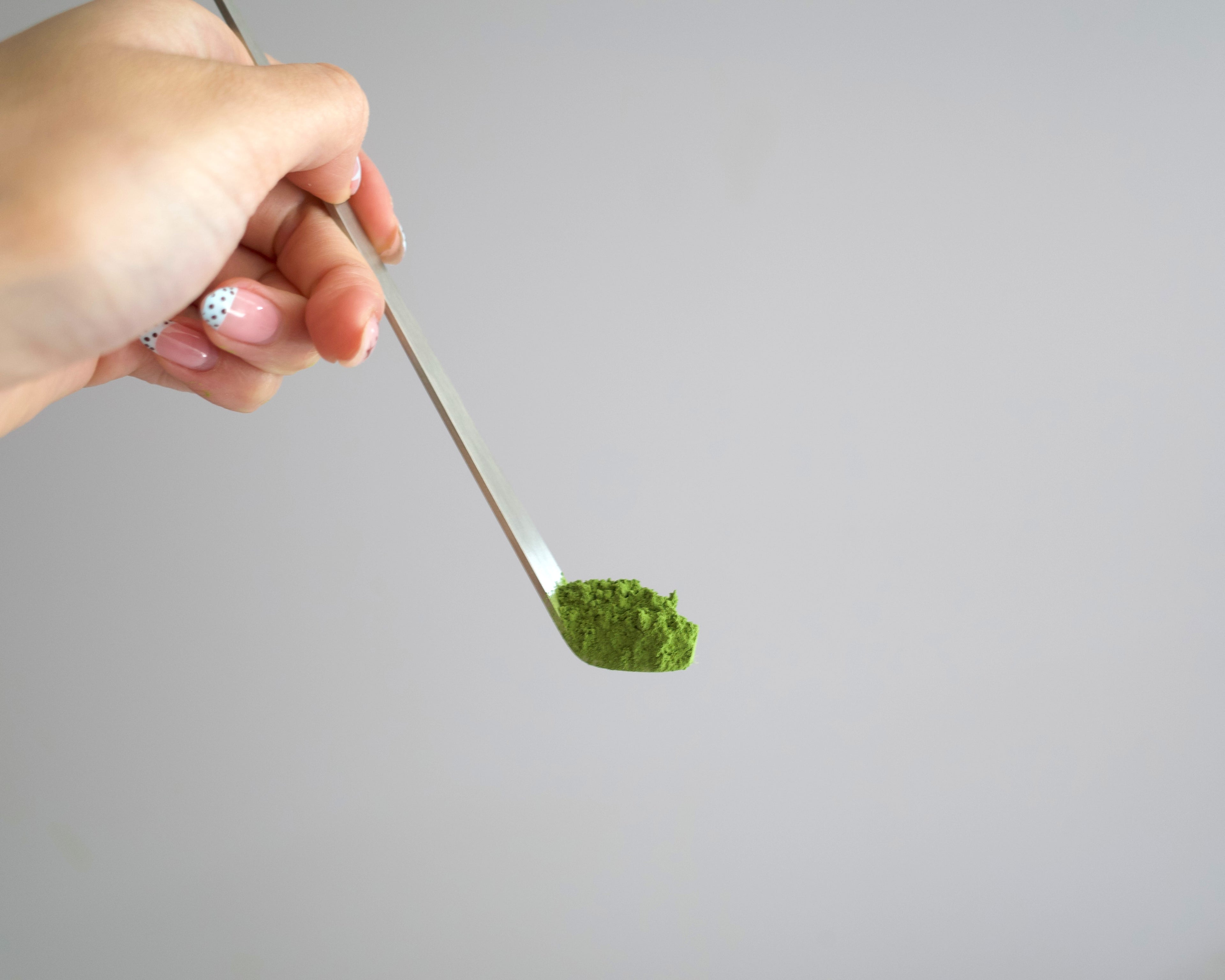 sakura stainless steel chashaku matcha scoop